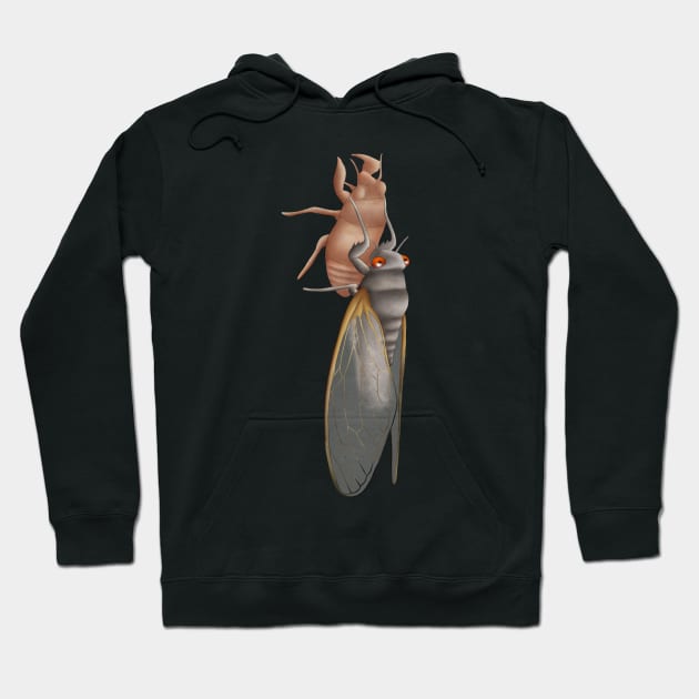 Cicada Shedding Shell Hoodie by Wilderness Insider